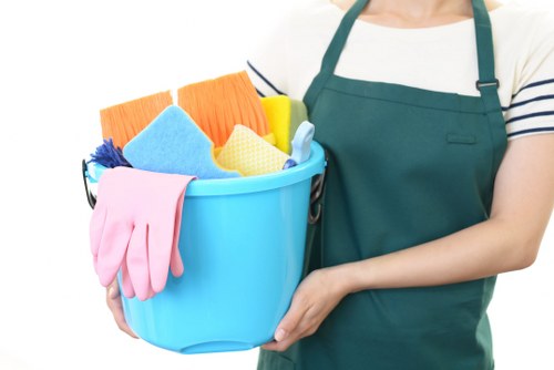 Cleaner in W9 with safety equipment during a professional cleaning task