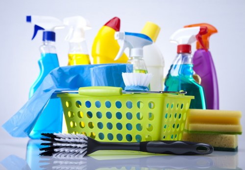 Curtain cleaning service for a W9 apartment interior