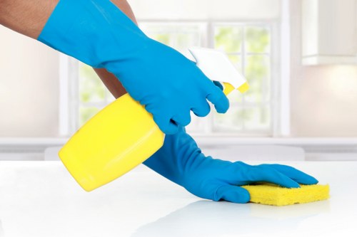 Professional cleaning for a Maida Vale style property in W9