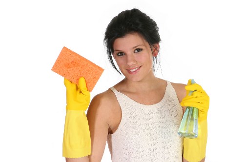 Professional carpet cleaning in a W9 living room with period property features