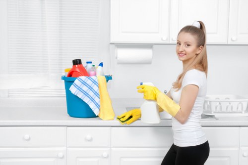 Regular cleaning service in a W9 residential flat