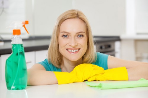 Gutter cleaning for W9 homes and period properties