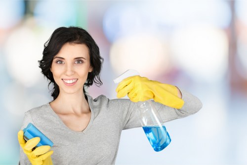 Kitchen cleaning in a West London flat with practical access