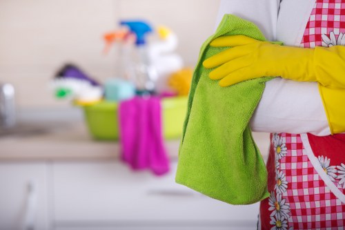 Screen-reader friendly Cleaners W9 website accessibility concept