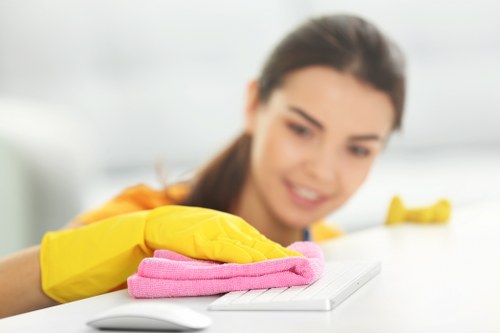 Professional inspection and cleaning of a rug
