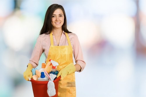 Accessibility review for local Cleaners W9 service information