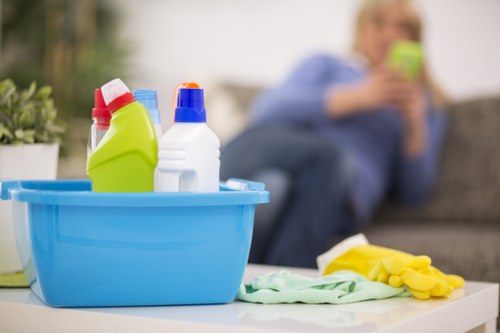 Deep cleaning treatment for pet urine odour in a W9 flat
