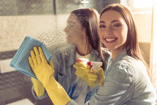 Professional gutter maintenance near Maida Vale and Little Venice