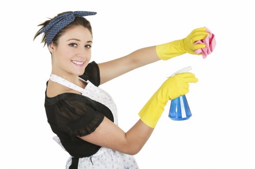 Upholstery cleaning after pet stains in the W9 area