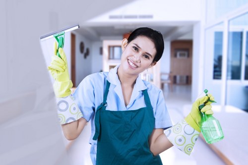 Routine kitchen and bathroom cleaning in W9