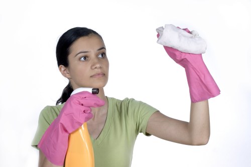 Regular home cleaning support for a busy W9 household