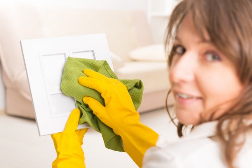 Domestic cleaner handling a bathroom refresh in W9