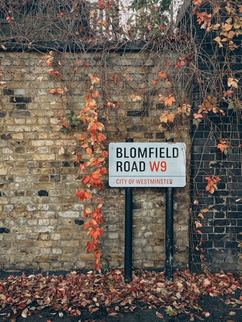 A street sign reading 'Blomfield Road W9, City of Westminster' is mounted on black metal posts against an aged brick wall covered in creeping ivy with orange and red autumn leaves. The wall shows weathering and discoloration, and fallen leaves are scattered on the ground at the base of the sign. The scene appears to be outdoors in an urban area, illuminated by natural light, with no visible cleaning tools or surfaces. The image is related to the W9 district, aligning with the topic of residential or commercial cleaning services offered by Cleaners W9 for local properties in Maida Vale W9, emphasizing the importance of maintaining street and property appearances.